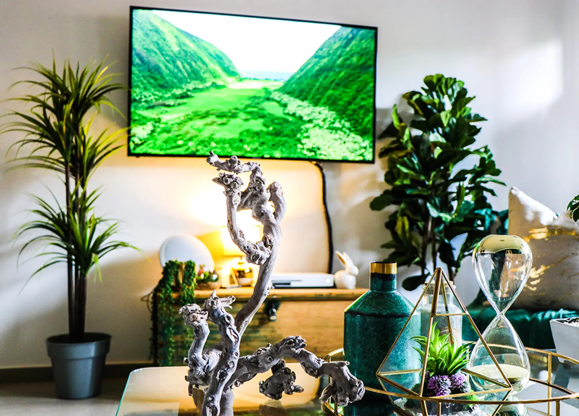 Photo by Devon Janse van Rensburg on Unsplash